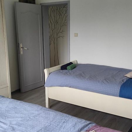 Appartement Les Mirabelles Entre Strasbourg Et Haguenau Bischwiller Buitenkant foto