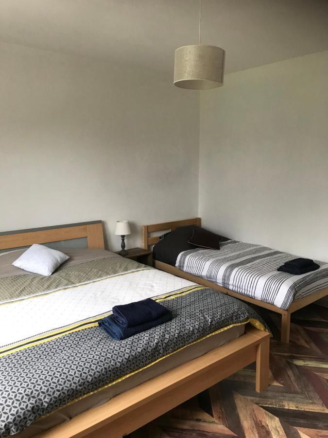 Appartement Les Mirabelles Entre Strasbourg Et Haguenau Bischwiller Buitenkant foto