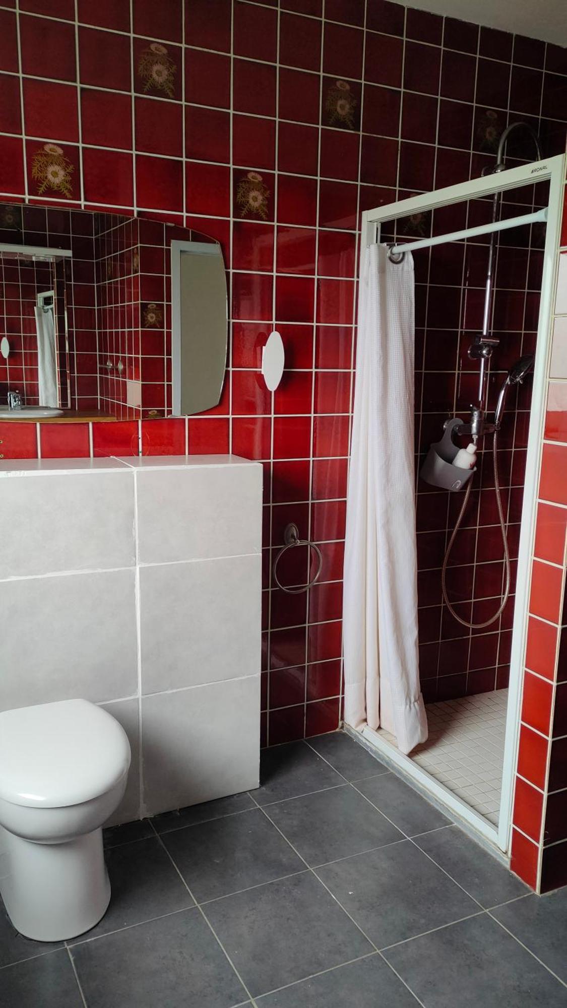 Appartement Les Mirabelles Entre Strasbourg Et Haguenau Bischwiller Buitenkant foto